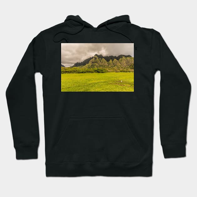 Landscapes with Cattle Egret Hoodie by KensLensDesigns